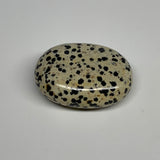 83g, 2.2"x1.7"x0.8", Natural Dalmatian Jasper Palm-Stone @India, B29461