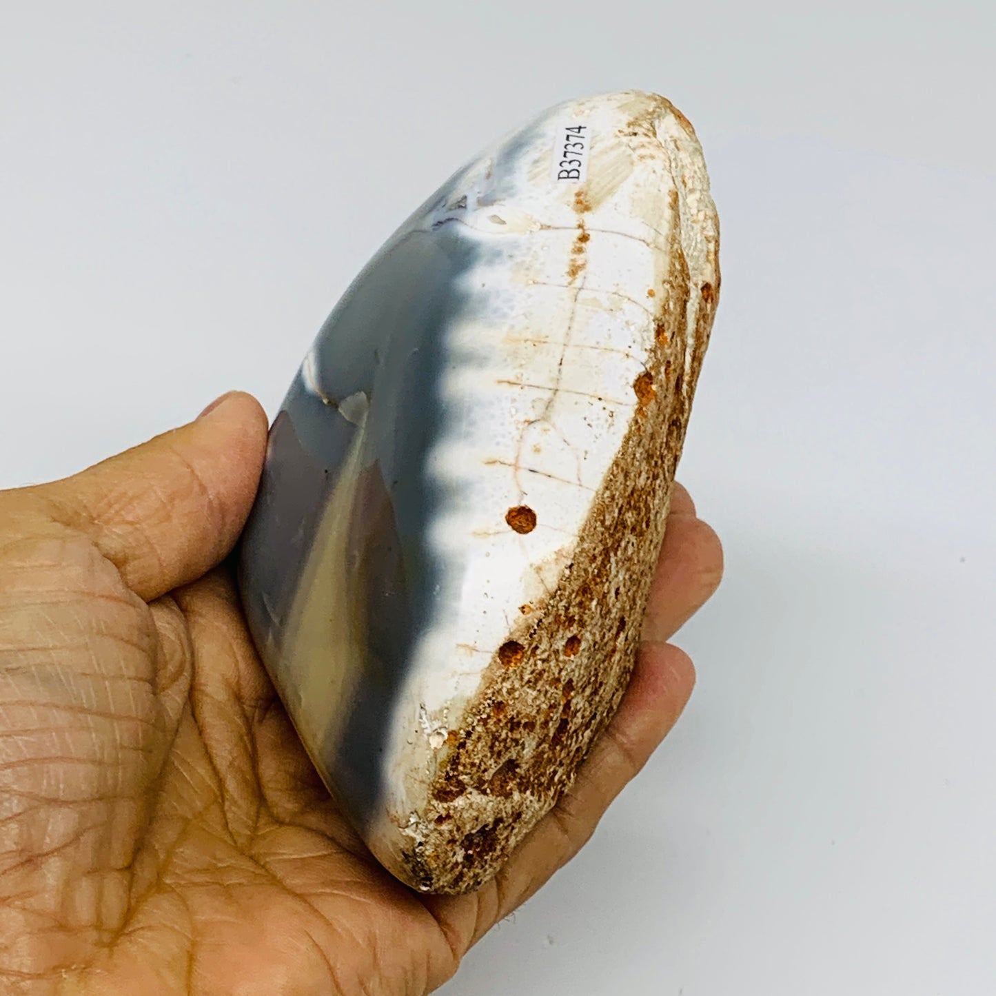 1.2 lbs, 4.7"x2.4"x2.3" Orca Agate Freeform Reiki Energy Crystal Reiki, B37374