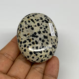 78.8g, 2.2"x1.7"x0.8", Natural Dalmatian Jasper Palm-Stone @India, B29462