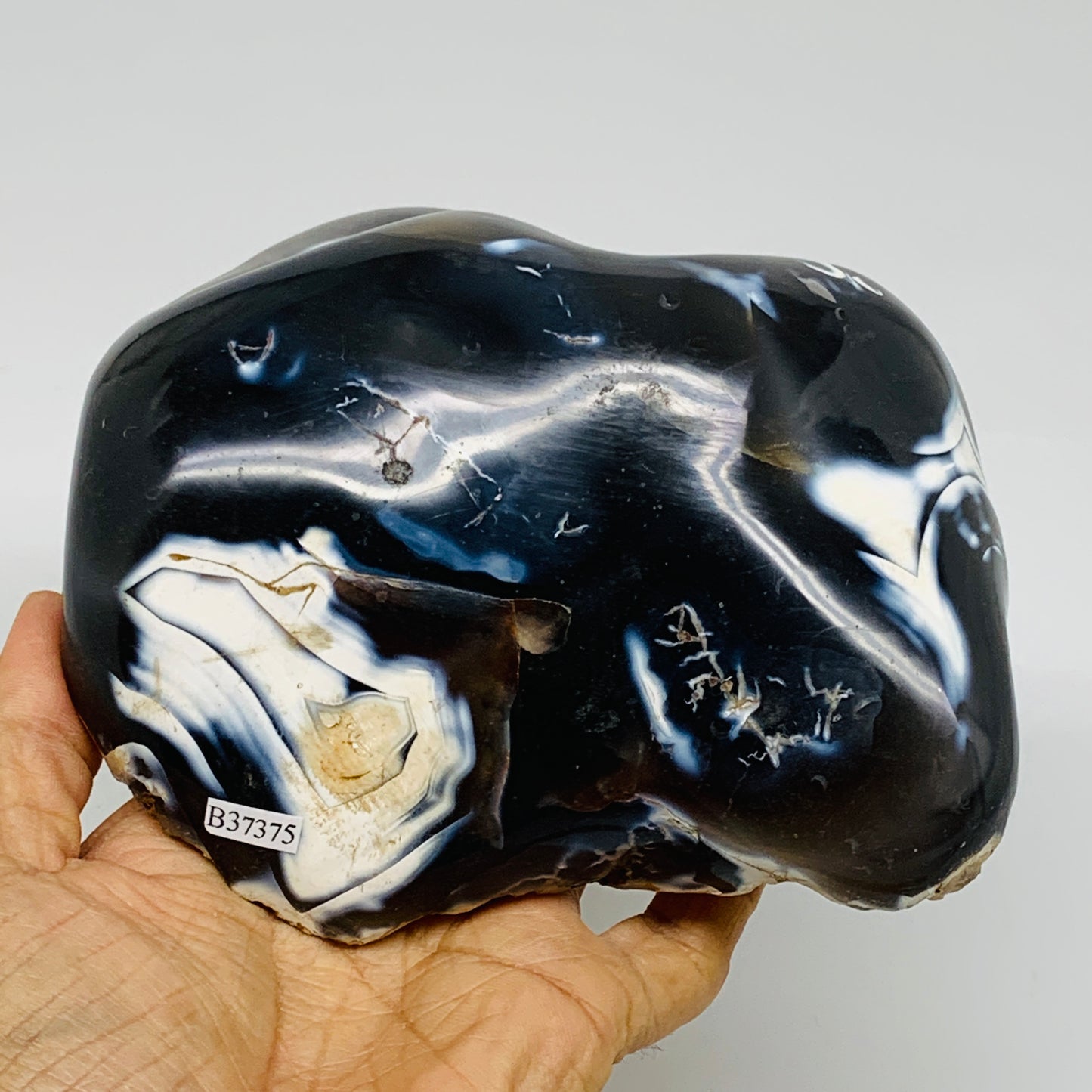 3 lbs, 5.5"x5"x2.3" Orca Agate Freeform Reiki Energy Crystal Reiki, B37375