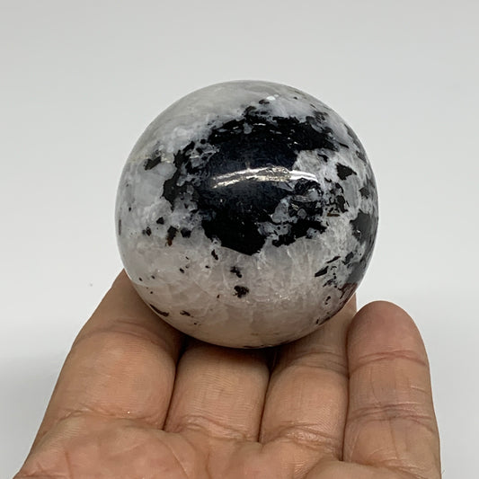 167.6g, 1.9"(49mm), Natural Rainbow Moonstone Sphere Ball Gemstone, B34368