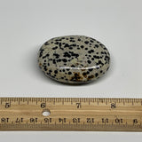 78.8g, 2.2"x1.7"x0.8", Natural Dalmatian Jasper Palm-Stone @India, B29462