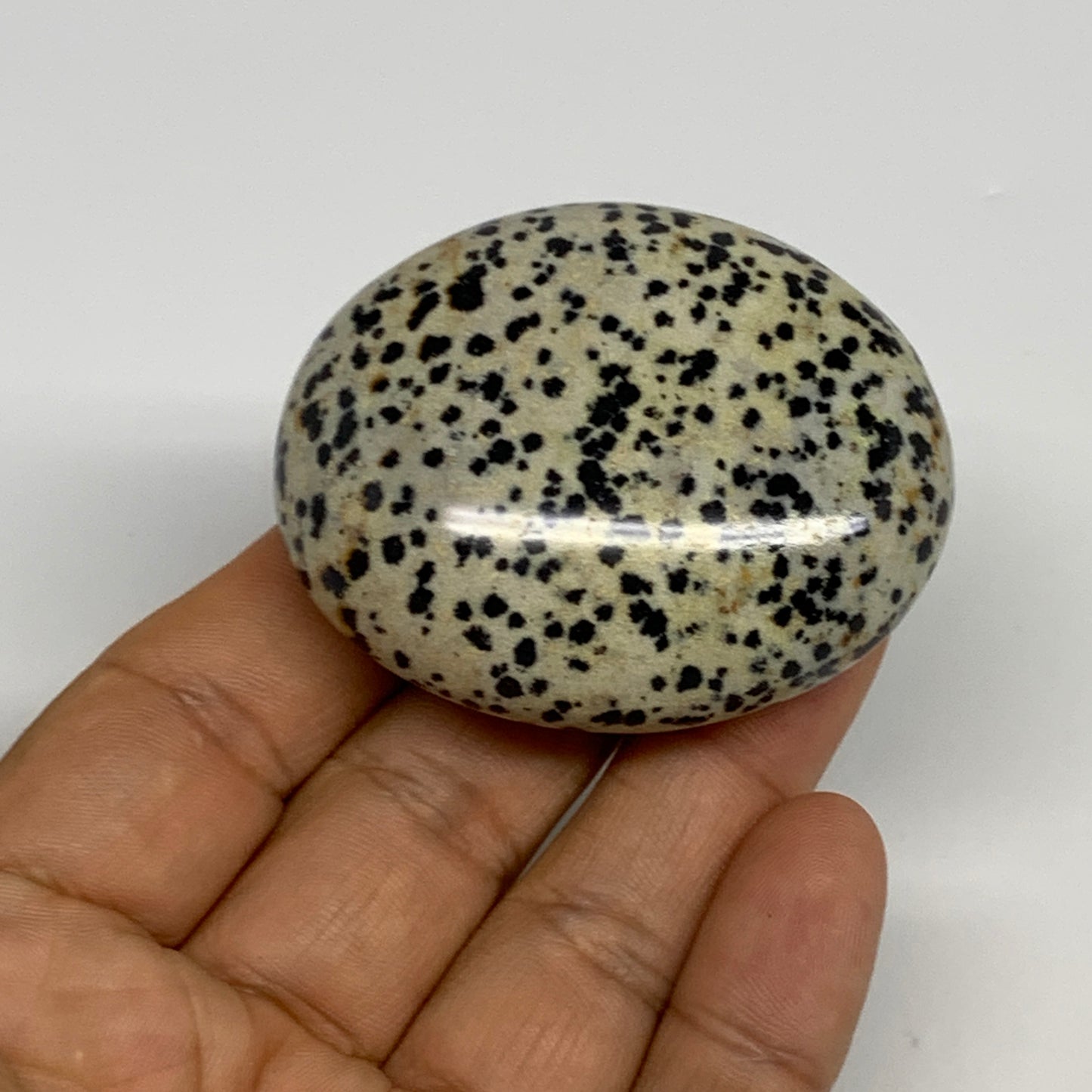 80.6g, 2.2"x1.8"x0.9", Natural Dalmatian Jasper Palm-Stone @India, B29463