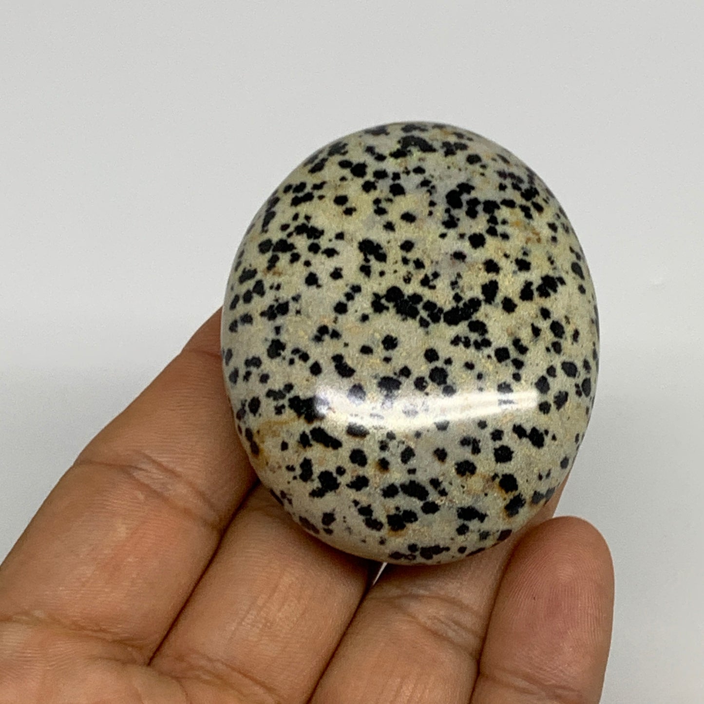 80.6g, 2.2"x1.8"x0.9", Natural Dalmatian Jasper Palm-Stone @India, B29463