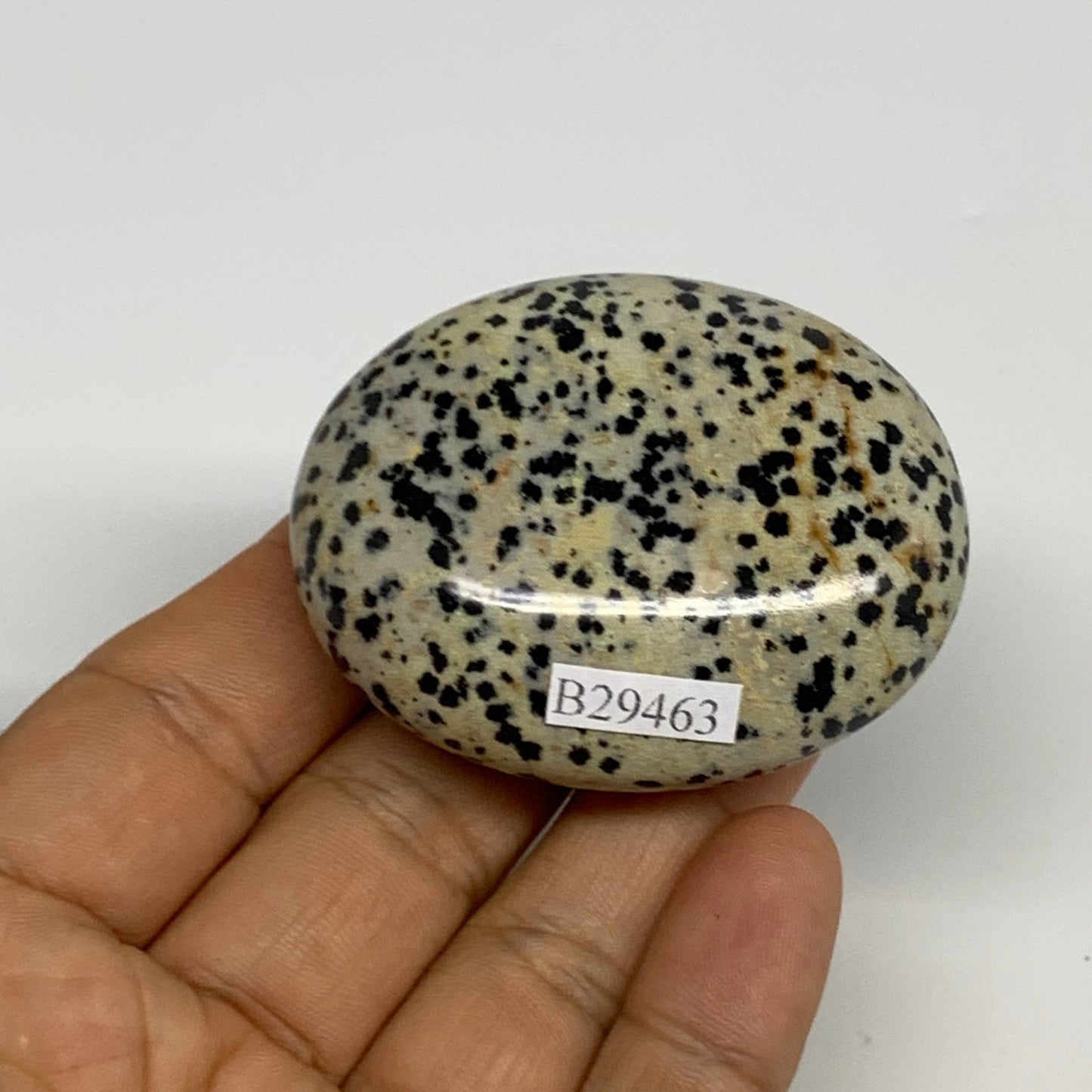 80.6g, 2.2"x1.8"x0.9", Natural Dalmatian Jasper Palm-Stone @India, B29463