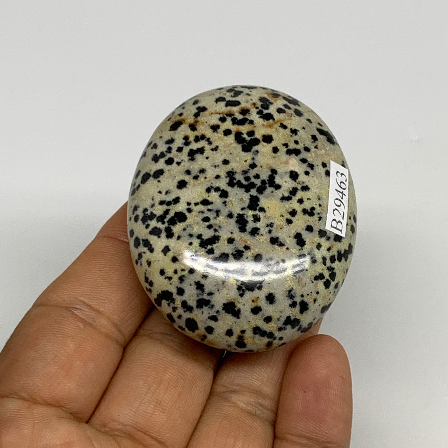 80.6g, 2.2"x1.8"x0.9", Natural Dalmatian Jasper Palm-Stone @India, B29463