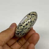80.6g, 2.2"x1.8"x0.9", Natural Dalmatian Jasper Palm-Stone @India, B29463
