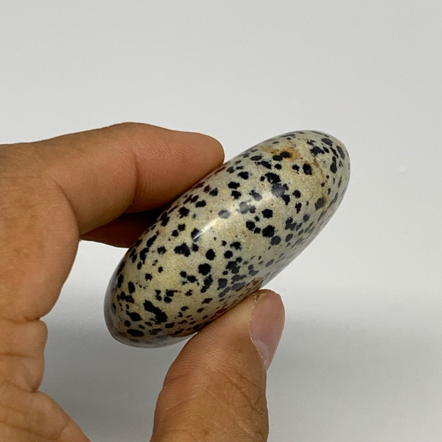 80.6g, 2.2"x1.8"x0.9", Natural Dalmatian Jasper Palm-Stone @India, B29463