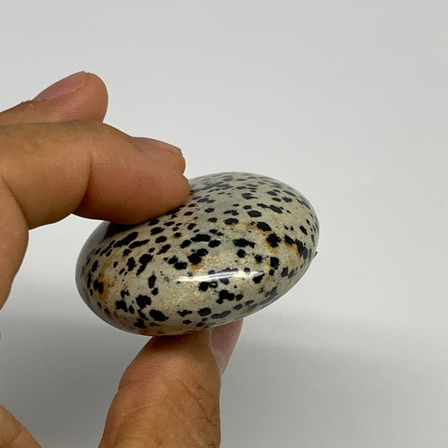 80.6g, 2.2"x1.8"x0.9", Natural Dalmatian Jasper Palm-Stone @India, B29463