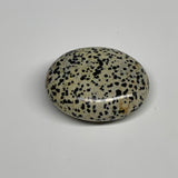 80.6g, 2.2"x1.8"x0.9", Natural Dalmatian Jasper Palm-Stone @India, B29463