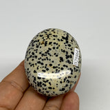 84.9g, 2.3"x1.8"x0.9", Natural Dalmatian Jasper Palm-Stone @India, B29464