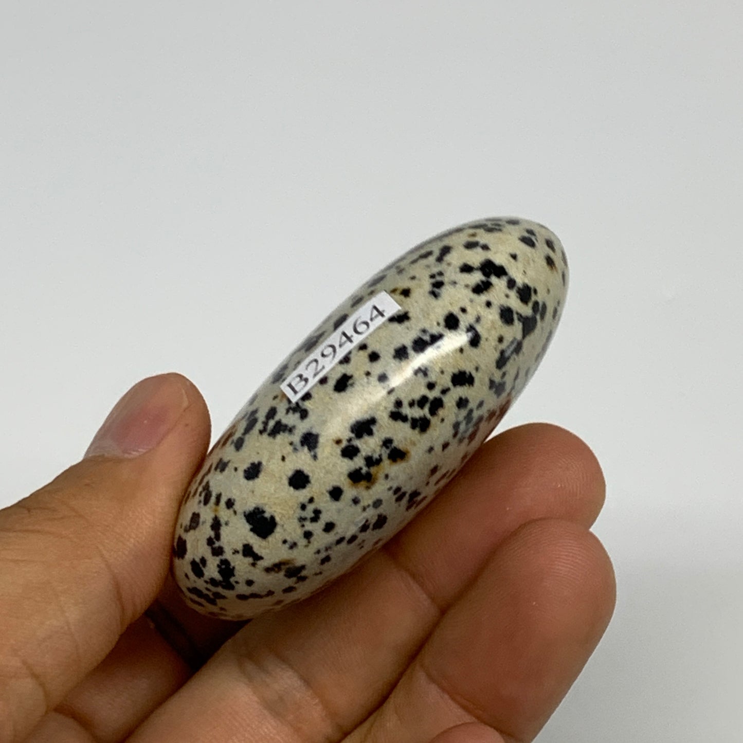 84.9g, 2.3"x1.8"x0.9", Natural Dalmatian Jasper Palm-Stone @India, B29464