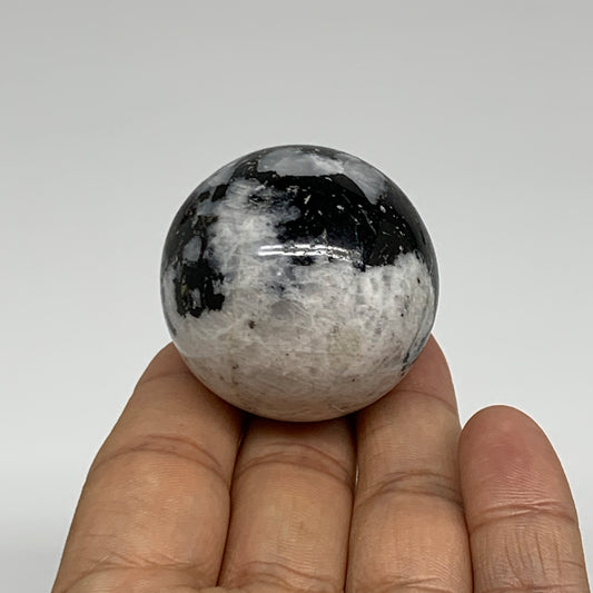 93.2g, 1.6"(40mm), Natural Rainbow Moonstone Sphere Ball Gemstone, B35157