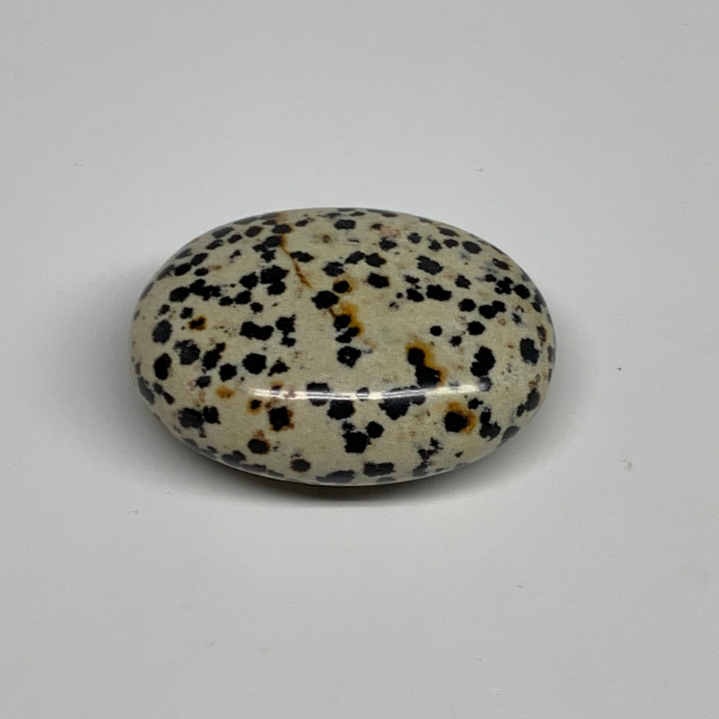 78.1g, 2.2"x1.6"x0.9", Natural Dalmatian Jasper Palm-Stone @India, B29465