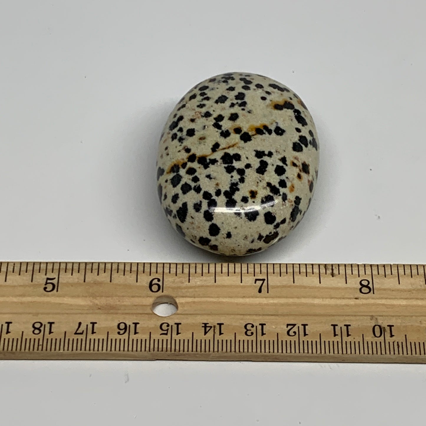 78.1g, 2.2"x1.6"x0.9", Natural Dalmatian Jasper Palm-Stone @India, B29465