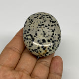 74.1g, 2.2"x1.7"x0.8", Natural Dalmatian Jasper Palm-Stone @India, B29467
