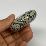 74.1g, 2.2"x1.7"x0.8", Natural Dalmatian Jasper Palm-Stone @India, B29467