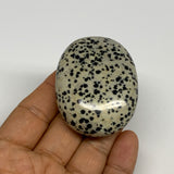 75.8g, 2.2"x1.7"x0.8", Natural Dalmatian Jasper Palm-Stone @India, B29468