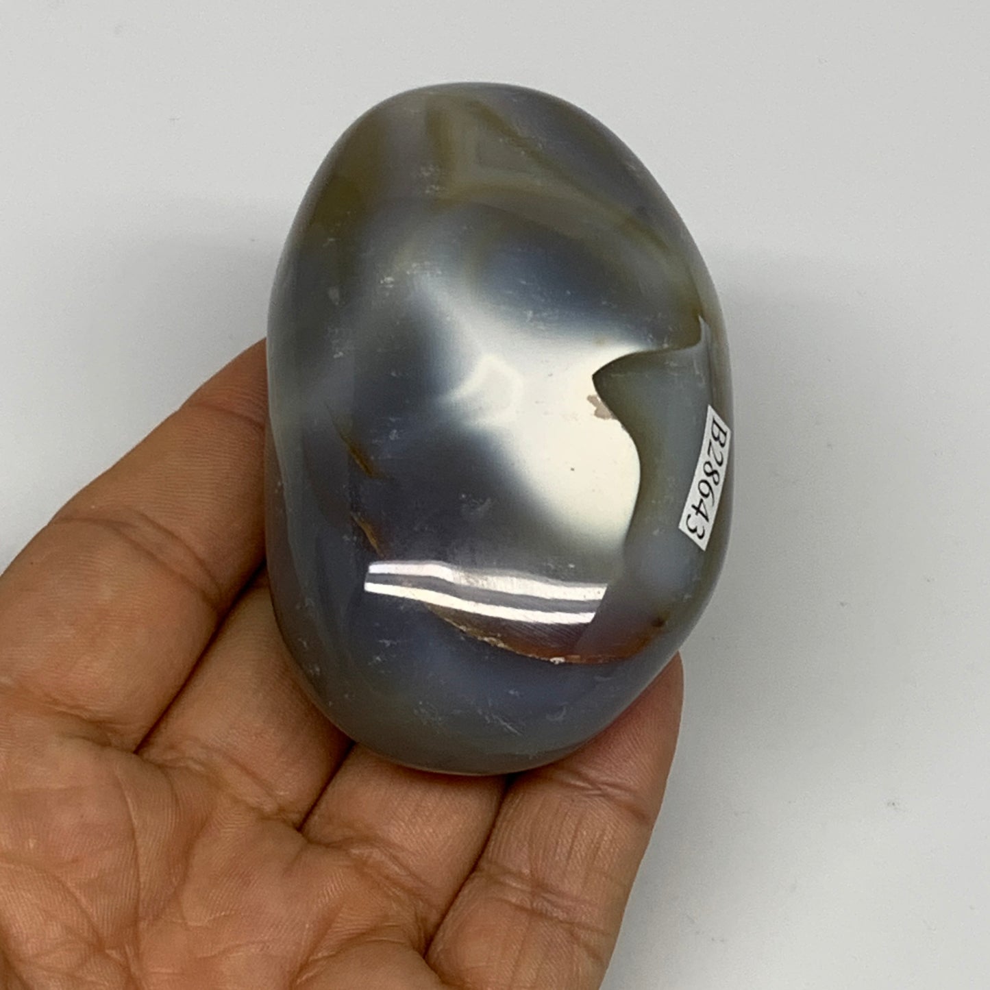 161.6g, 3"x1.8"x1.2" Orca Agate Palm-Stone Reiki Energy Crystal Reiki, B28643