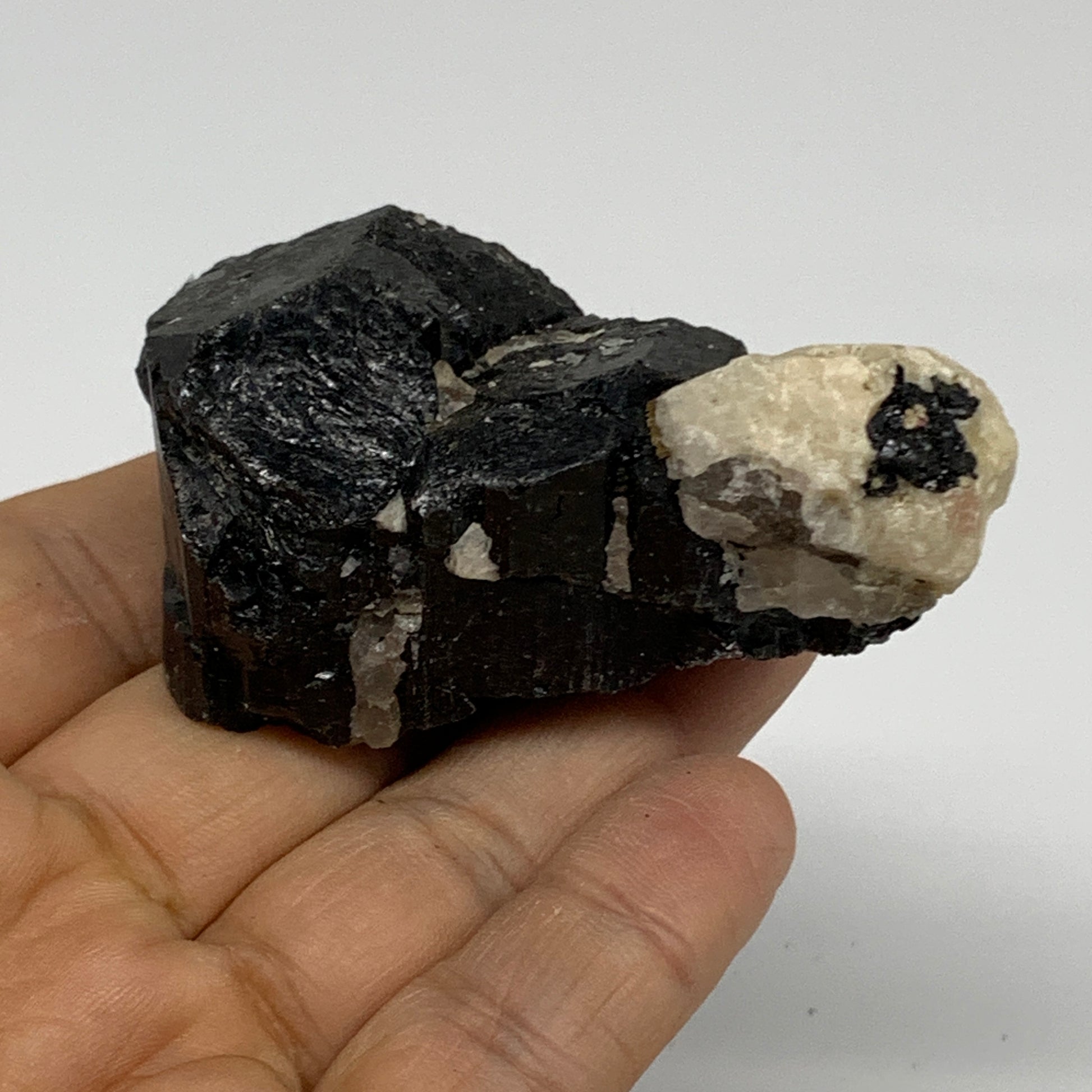 Natural Black Tourmaline Mineral Specimen, Crystal, Gemstone