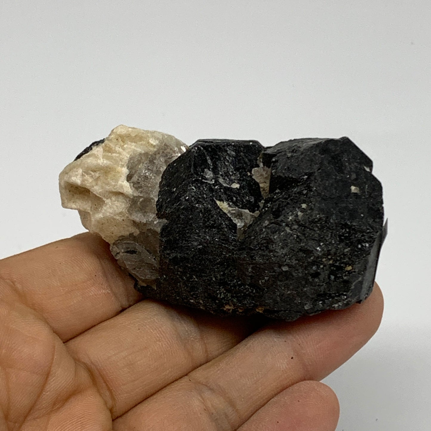 101.5g, 2.5"x1.5"x1.2", Natural Black Tourmaline Mineral Specimen, B33737