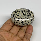 80.3g, 2.2"x1.7"x0.9", Natural Dalmatian Jasper Palm-Stone @India, B29469