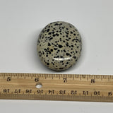 80.3g, 2.2"x1.7"x0.9", Natural Dalmatian Jasper Palm-Stone @India, B29469