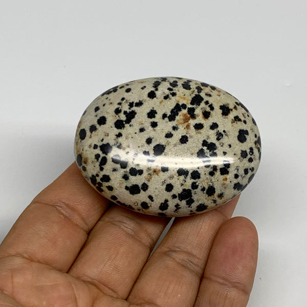 76.6g, 2.2"x1.7"x0.8", Natural Dalmatian Jasper Palm-Stone @India, B29470