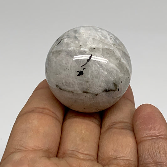 72.7g, 1.5"(38mm), Natural Rainbow Moonstone Sphere Ball Gemstone, B35162