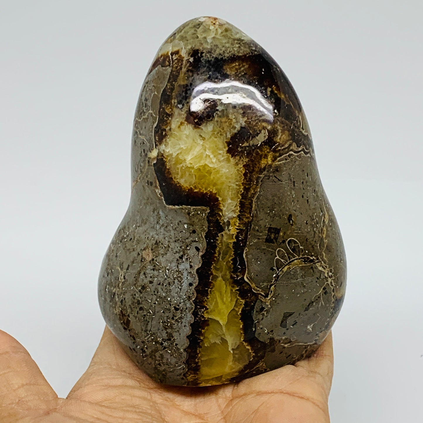 1.21 lbs, 4.1"x3.1"x2", Septarian Nodules Freeform Polished Crystal, B37385