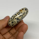 70.8g, 2.1"x1.7"x0.8", Natural Dalmatian Jasper Palm-Stone @India, B29471