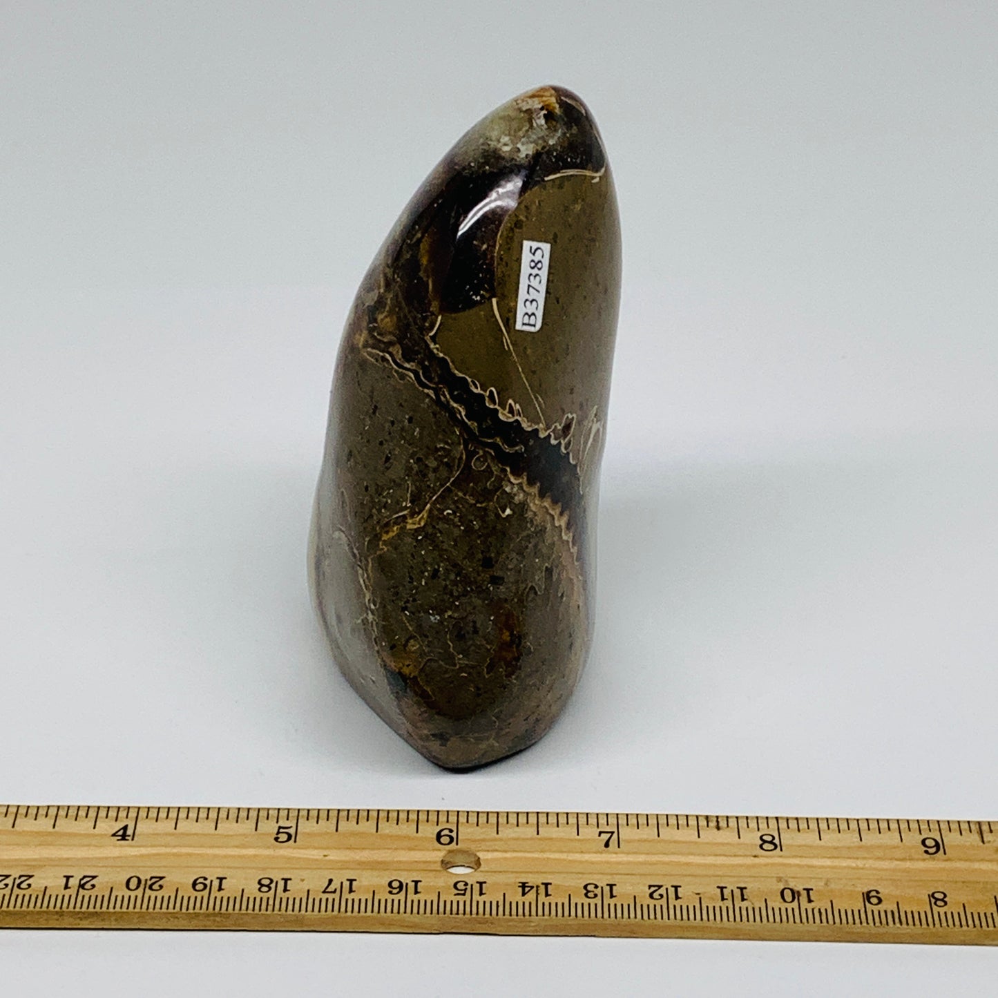 1.21 lbs, 4.1"x3.1"x2", Septarian Nodules Freeform Polished Crystal, B37385