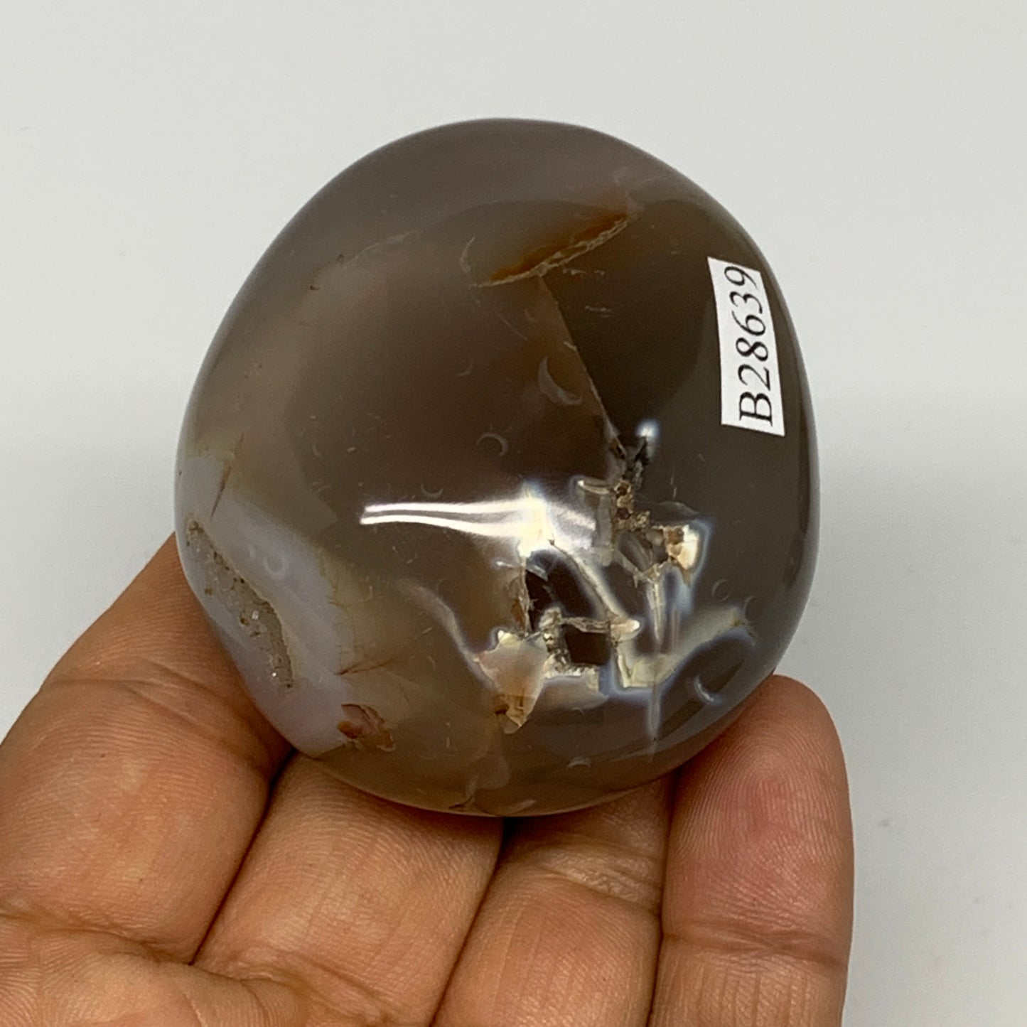 122.1g, 2.2"x1.9"x1.3" Orca Agate Palm-Stone Reiki Energy Crystal Reiki, B28639