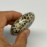 83g, 2.2"x1.8"x0.9", Natural Dalmatian Jasper Palm-Stone @India, B29472