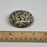 83g, 2.2"x1.8"x0.9", Natural Dalmatian Jasper Palm-Stone @India, B29472