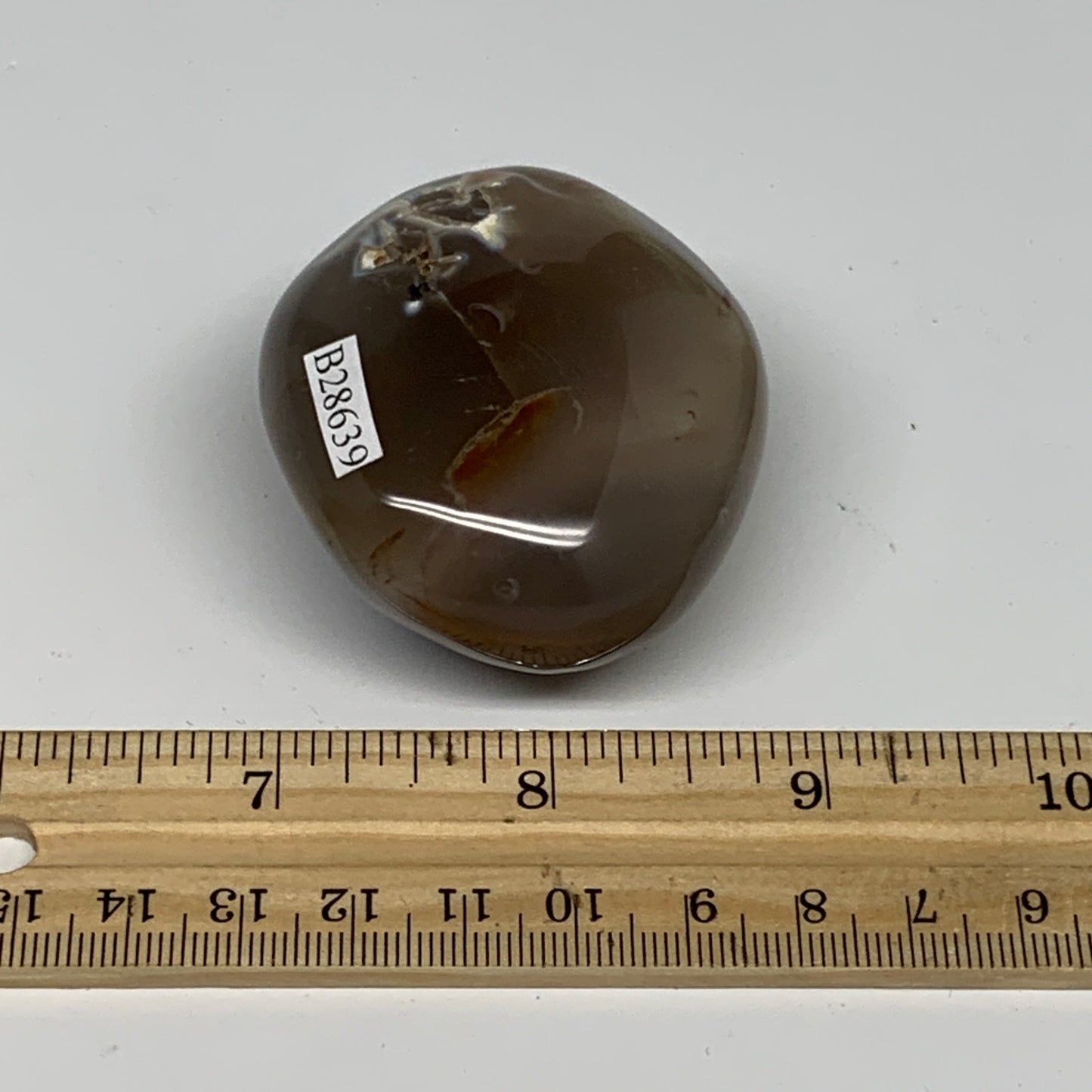 122.1g, 2.2"x1.9"x1.3" Orca Agate Palm-Stone Reiki Energy Crystal Reiki, B28639