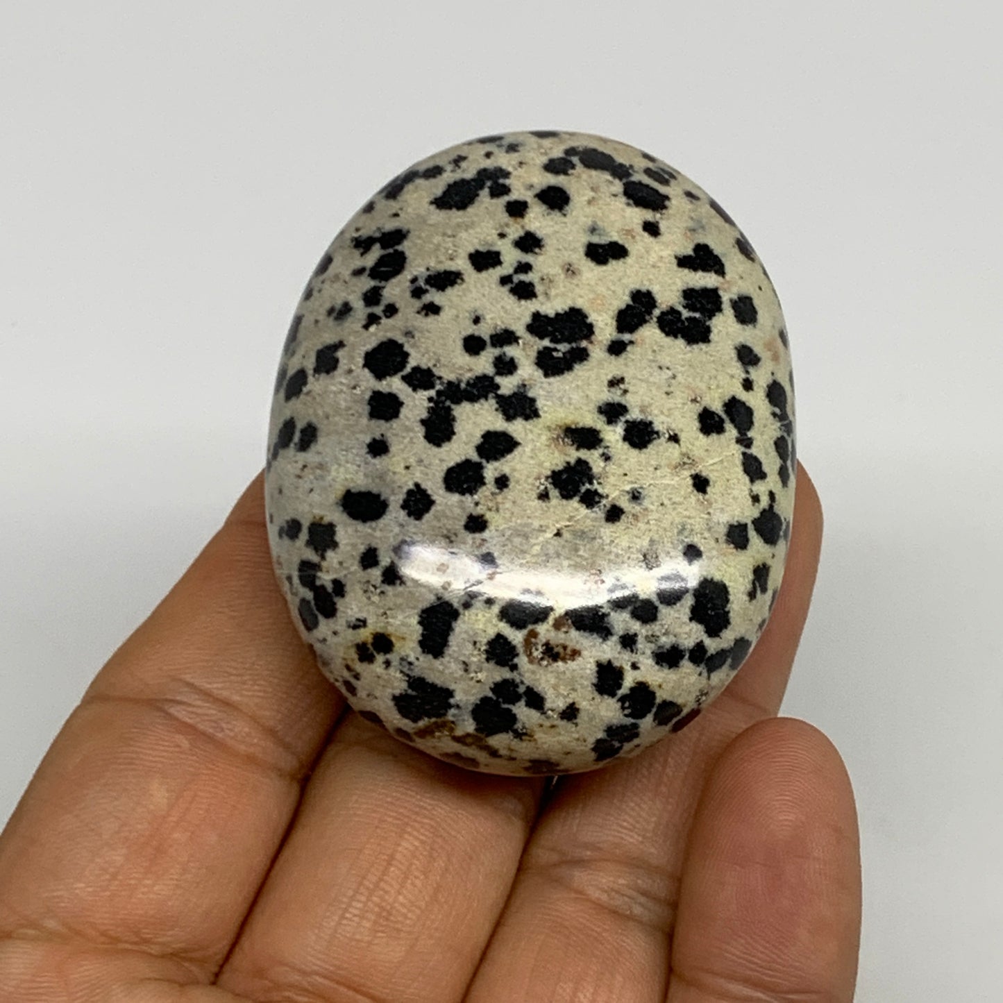80.1g, 2.2"x1.7"x0.8", Natural Dalmatian Jasper Palm-Stone @India, B29473