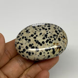 80.1g, 2.2"x1.7"x0.8", Natural Dalmatian Jasper Palm-Stone @India, B29473