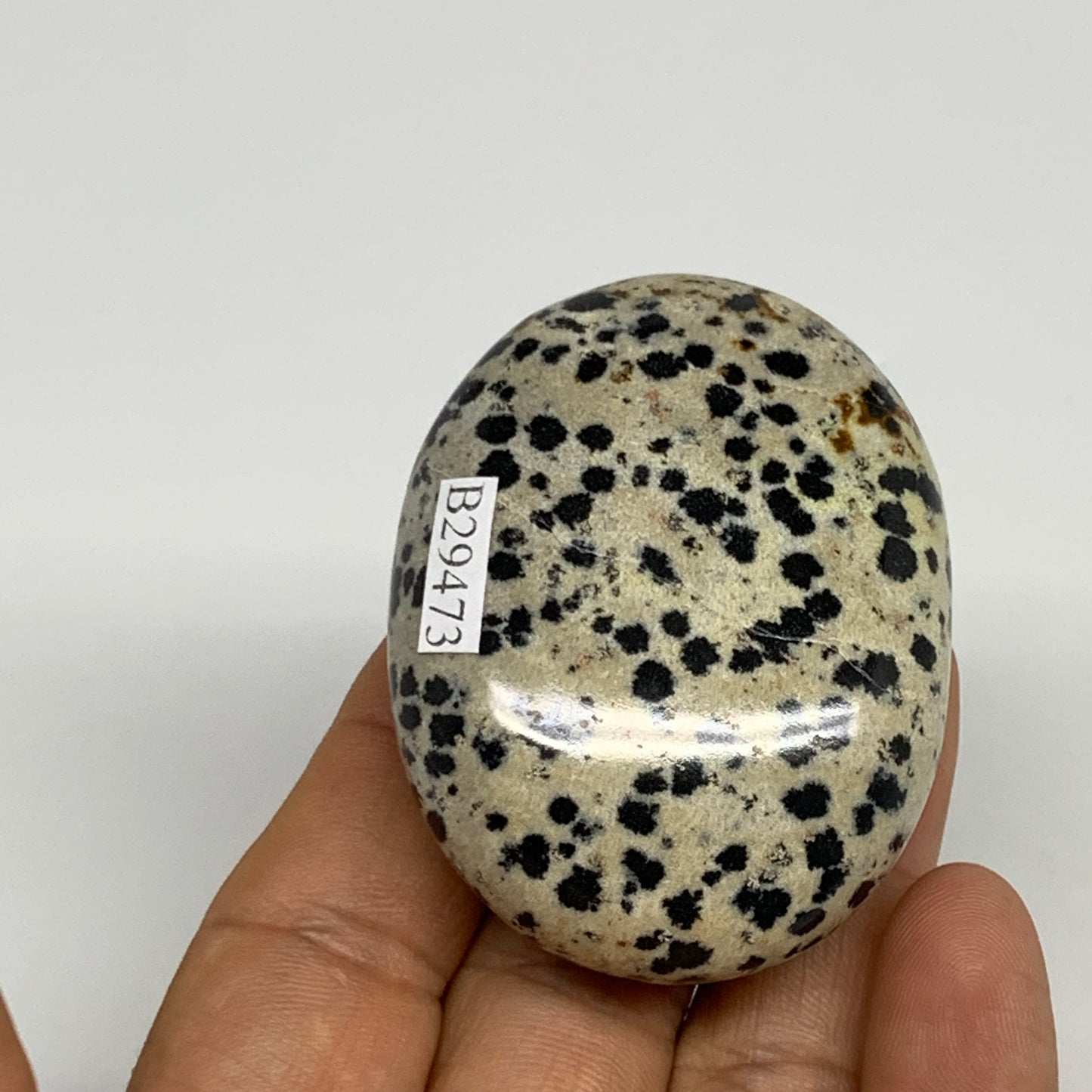 80.1g, 2.2"x1.7"x0.8", Natural Dalmatian Jasper Palm-Stone @India, B29473