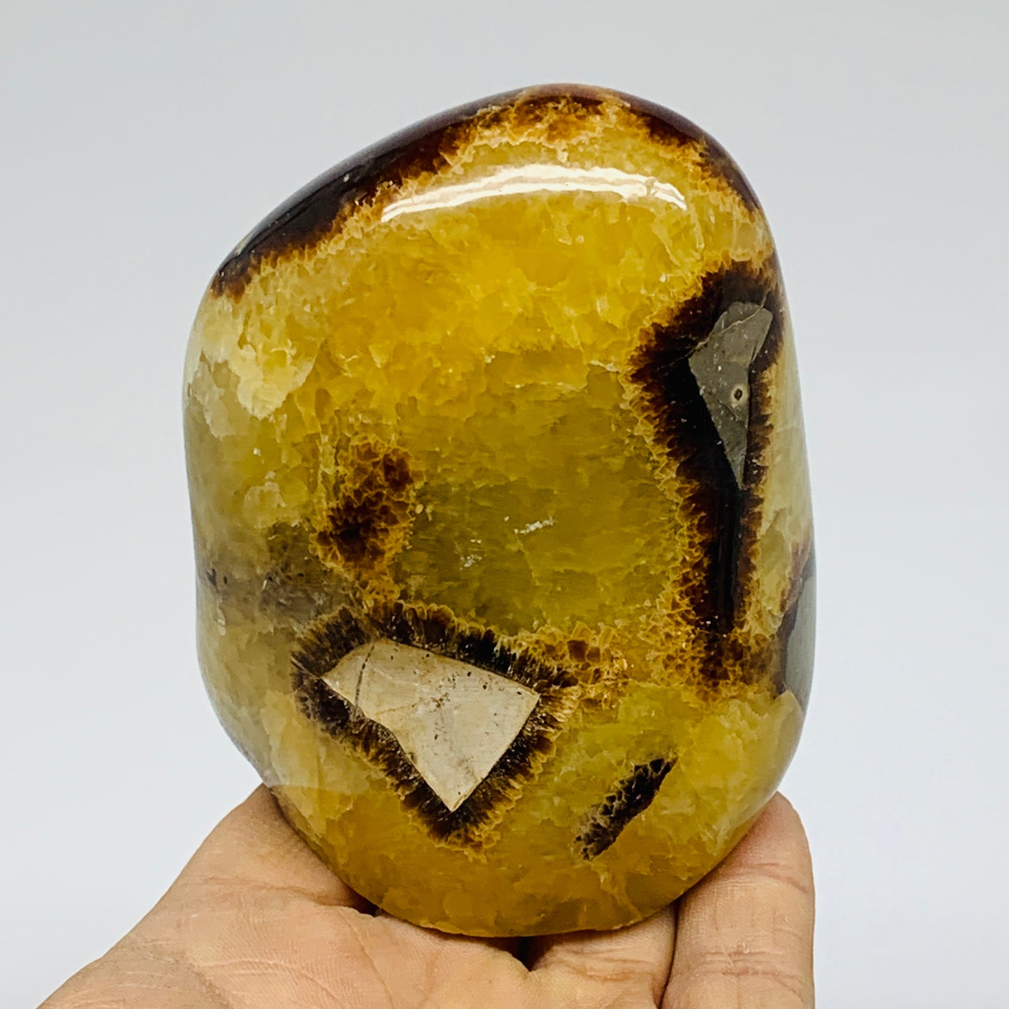 1.01 lbs, 3.4"x2.7"x2.1", Septarian Nodules Freeform Polished Crystal, B37387