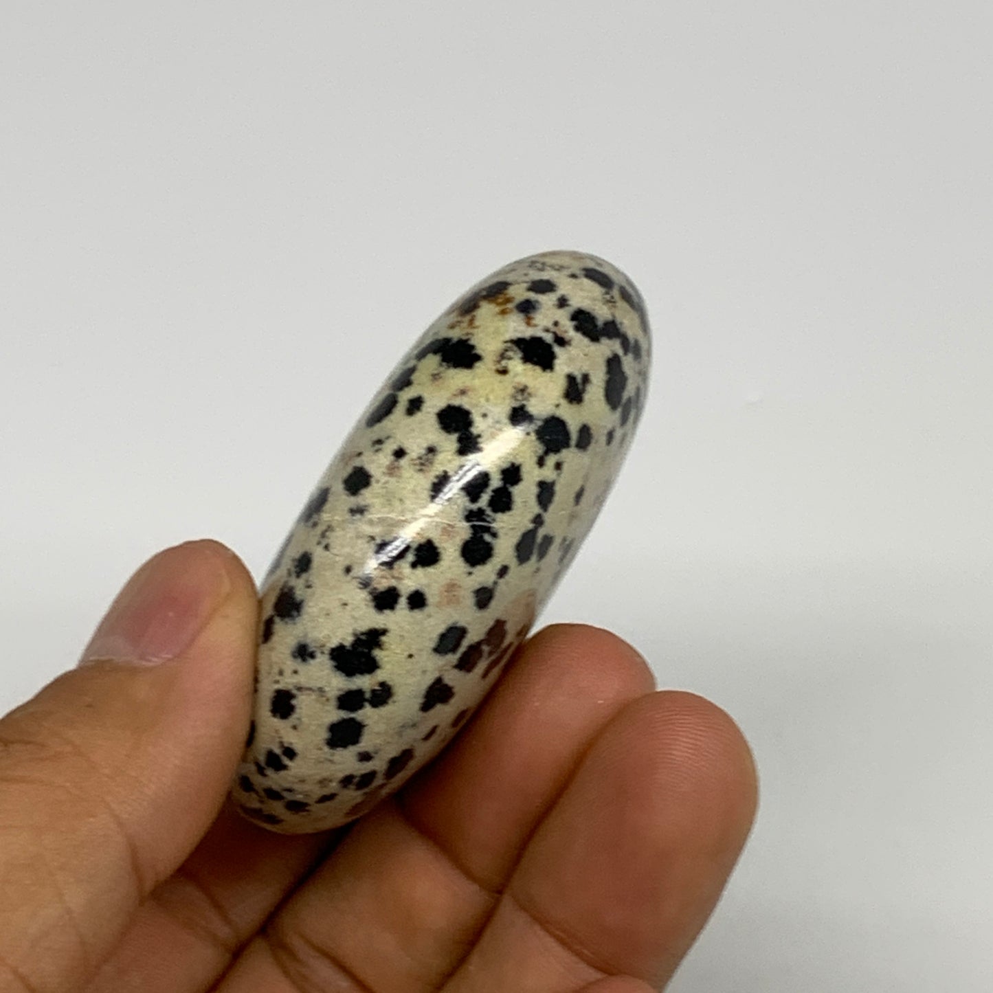 80.1g, 2.2"x1.7"x0.8", Natural Dalmatian Jasper Palm-Stone @India, B29473