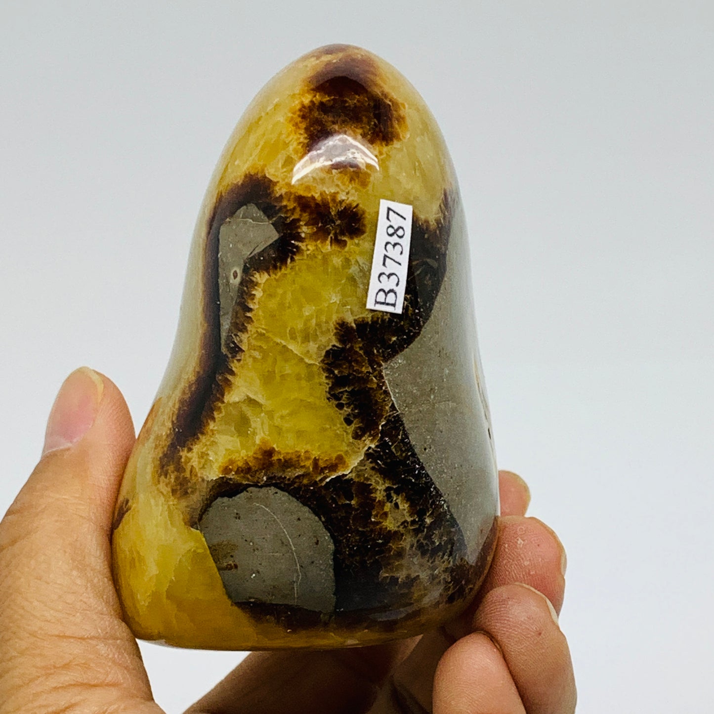 1.01 lbs, 3.4"x2.7"x2.1", Septarian Nodules Freeform Polished Crystal, B37387