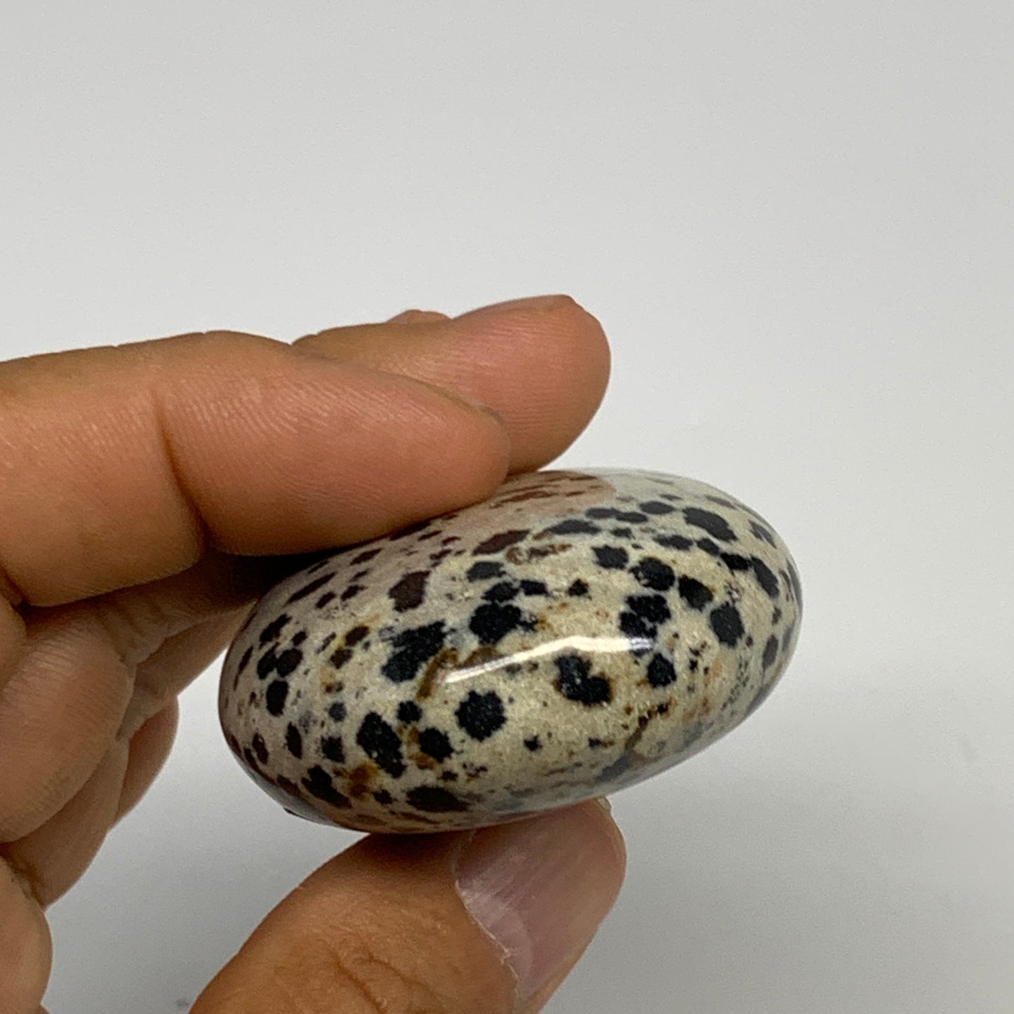 80.1g, 2.2"x1.7"x0.8", Natural Dalmatian Jasper Palm-Stone @India, B29473