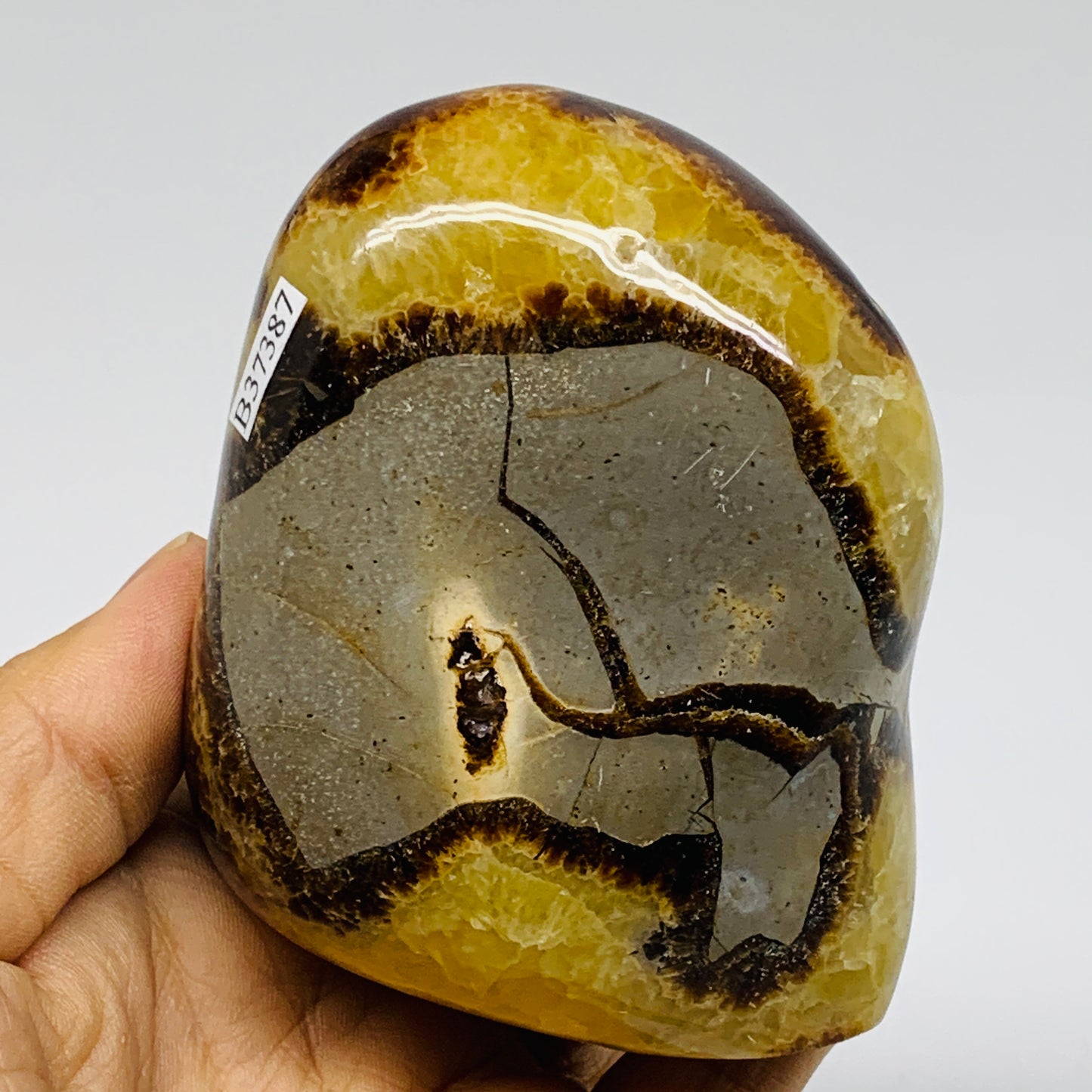 1.01 lbs, 3.4"x2.7"x2.1", Septarian Nodules Freeform Polished Crystal, B37387