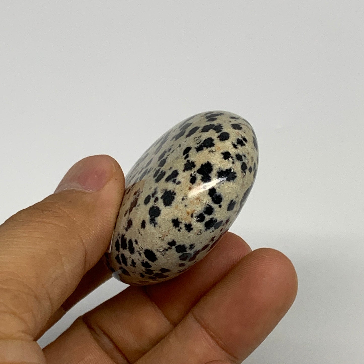 80.1g, 2.2"x1.7"x0.8", Natural Dalmatian Jasper Palm-Stone @India, B29473