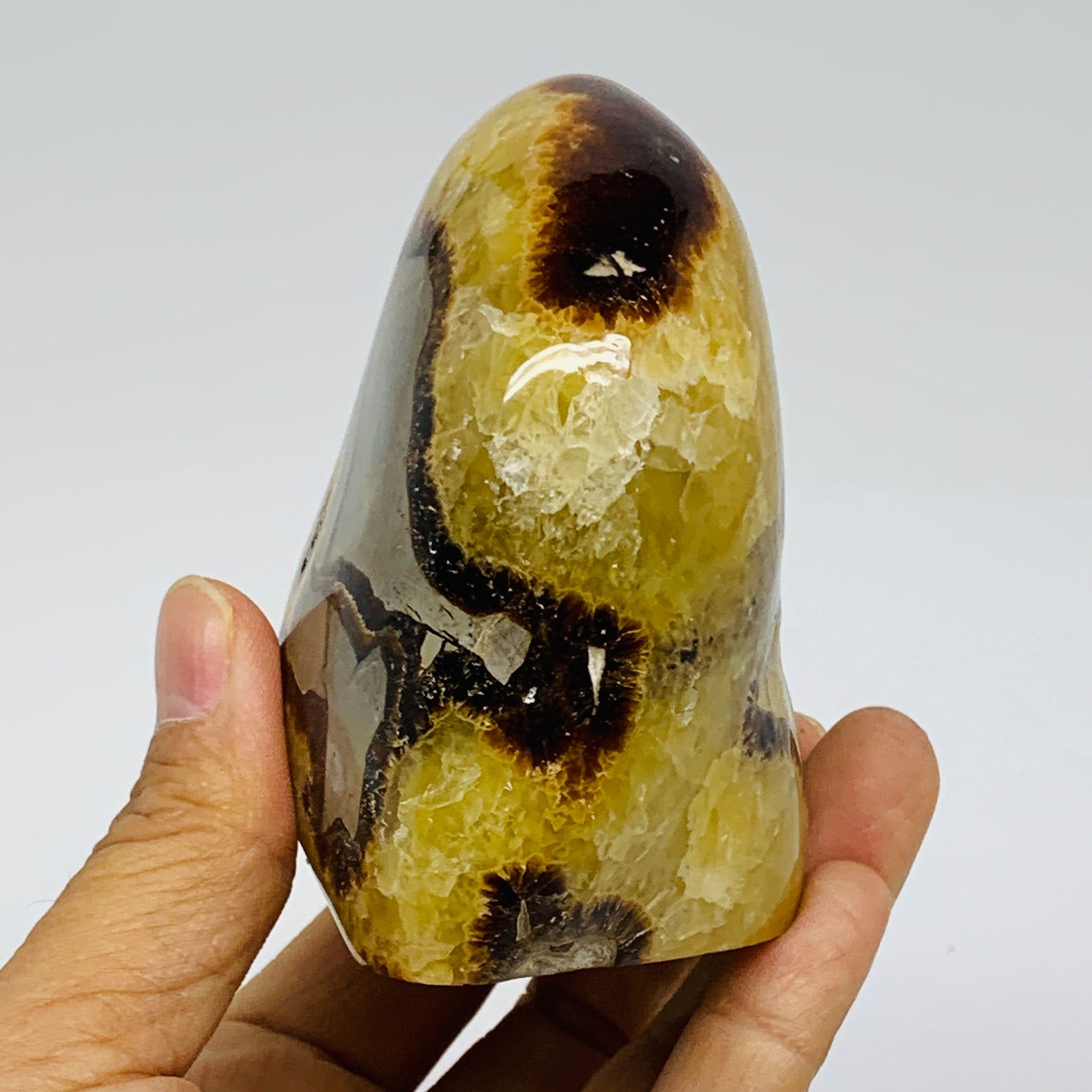 1.01 lbs, 3.4"x2.7"x2.1", Septarian Nodules Freeform Polished Crystal, B37387