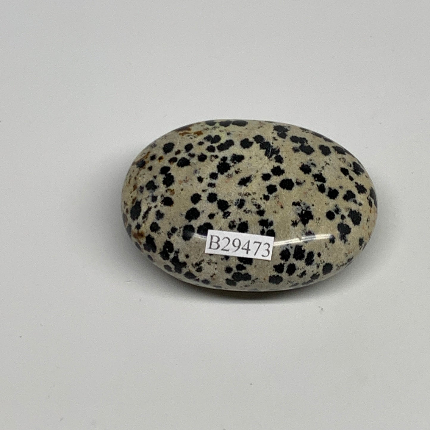 80.1g, 2.2"x1.7"x0.8", Natural Dalmatian Jasper Palm-Stone @India, B29473