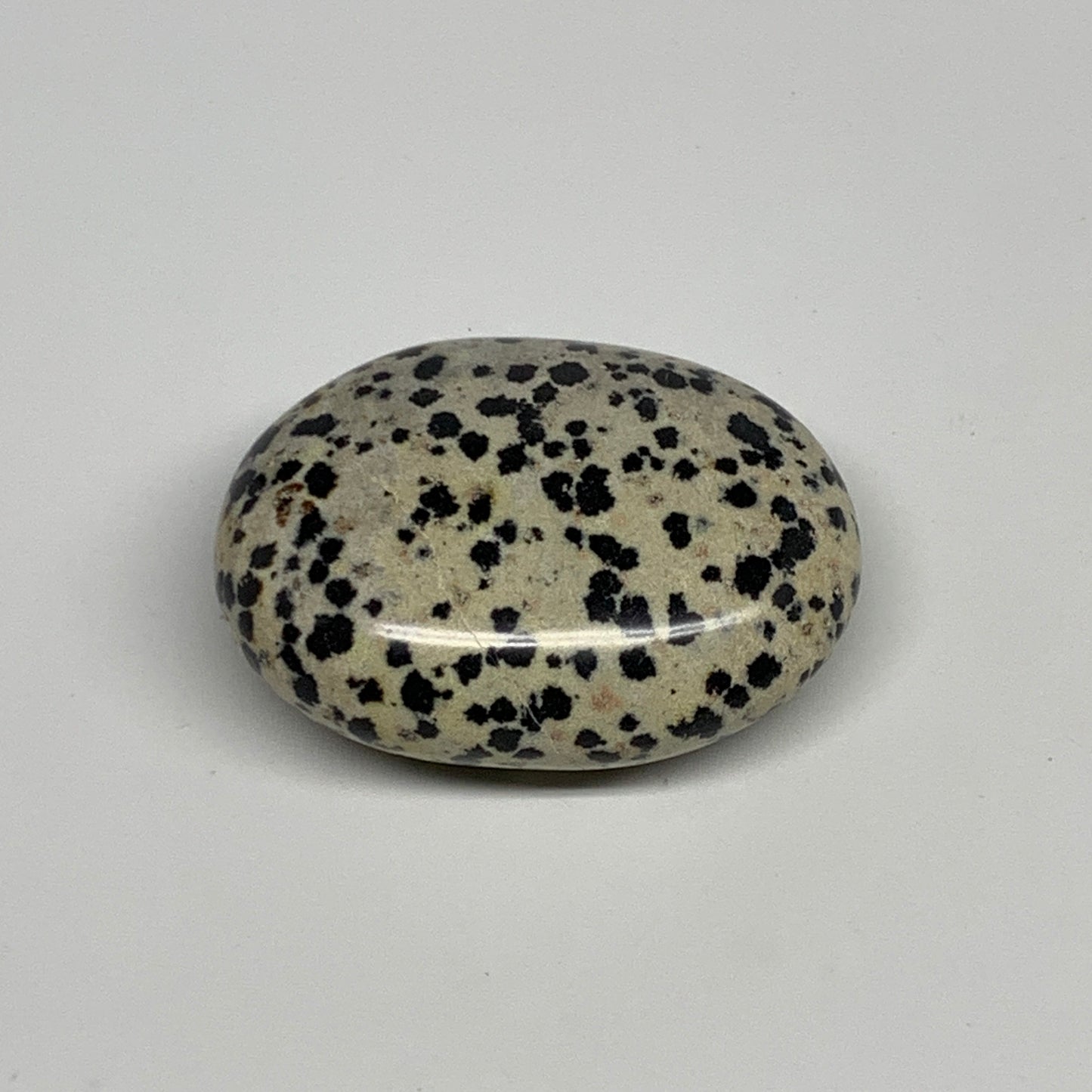 80.1g, 2.2"x1.7"x0.8", Natural Dalmatian Jasper Palm-Stone @India, B29473