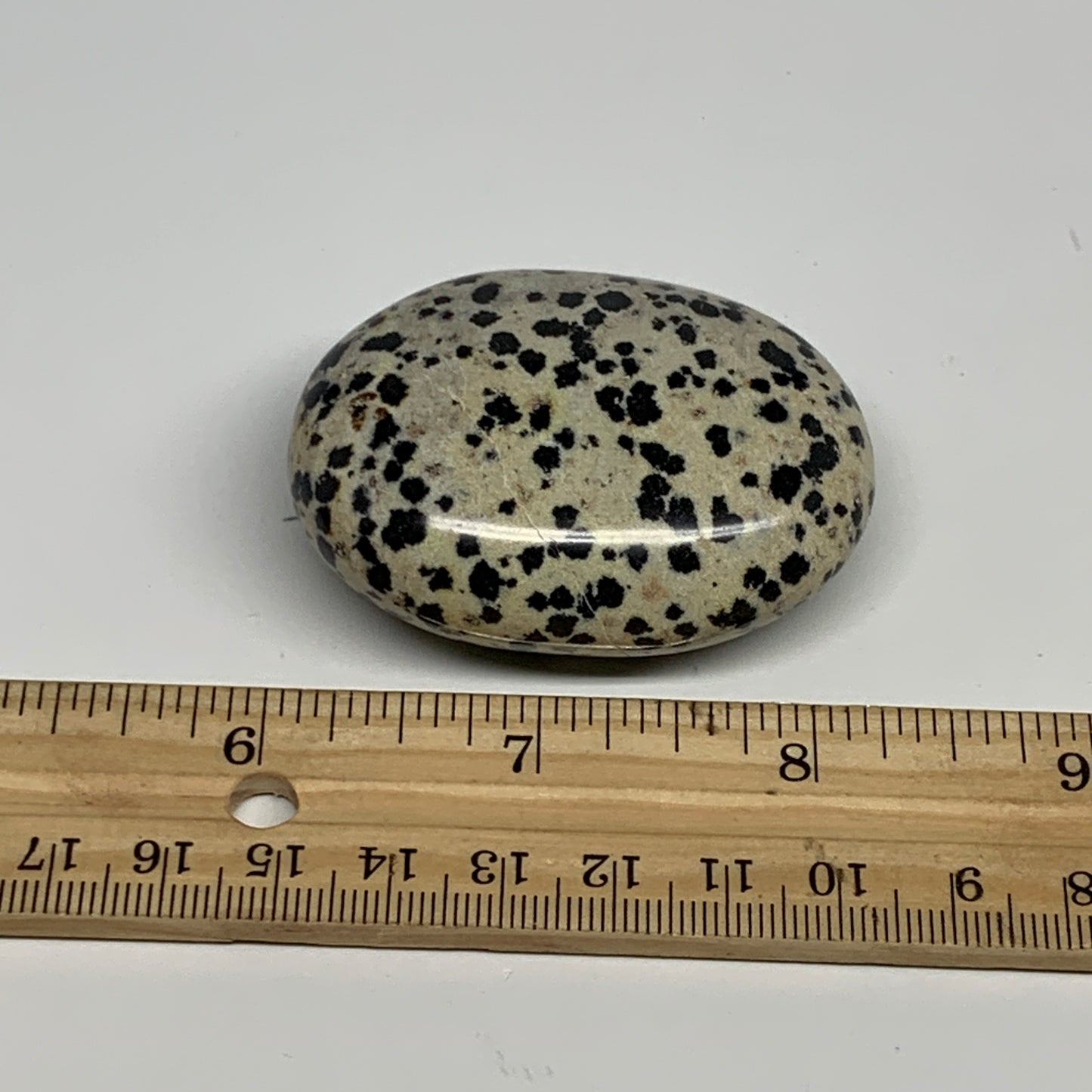 80.1g, 2.2"x1.7"x0.8", Natural Dalmatian Jasper Palm-Stone @India, B29473