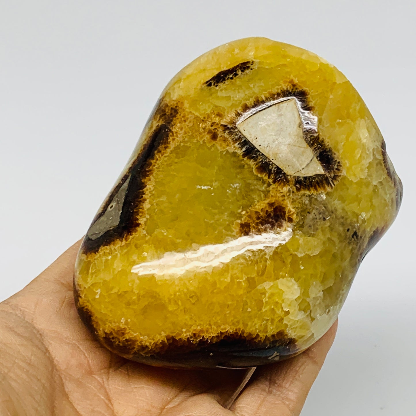 1.01 lbs, 3.4"x2.7"x2.1", Septarian Nodules Freeform Polished Crystal, B37387